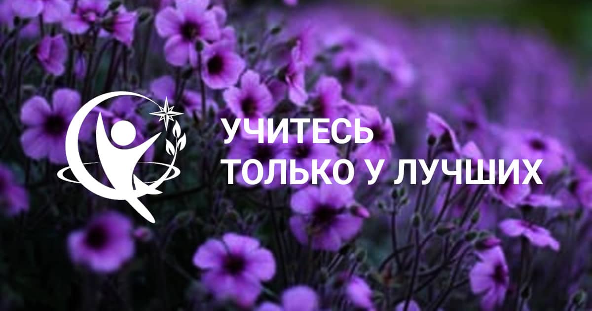 Школа здоровья Веста